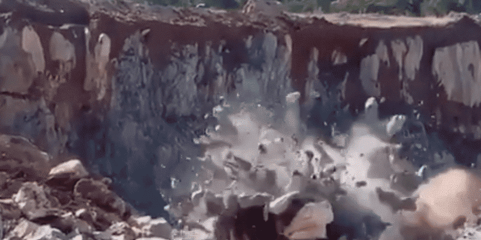 Screen Shot 2019-08-09 at 11.38.23 AM